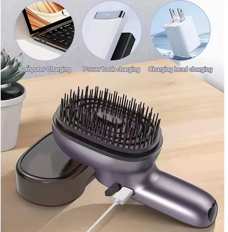 Phototherapy Frizz-Free Easy Shine Hair Care Oil Mist Hairbrush Vibration Massage Comb Hair Growth Ironing Iron Shape Comb